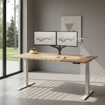 Review: FlexiSpot E7 Pro Plus Standing Desk (Tested)